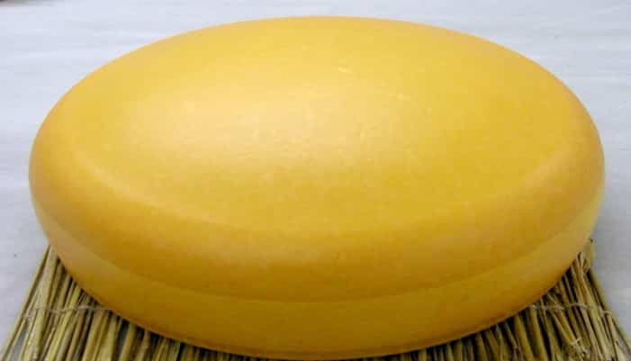 Locación de origen del queso Gouda