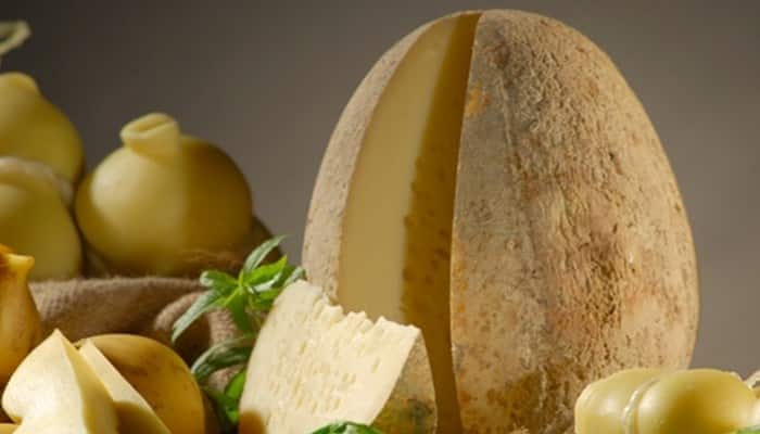 Sustitutos del queso Provolone