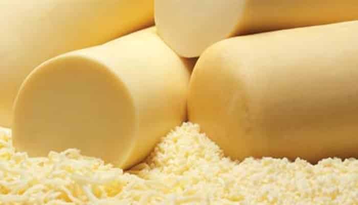 Características del queso Provolone