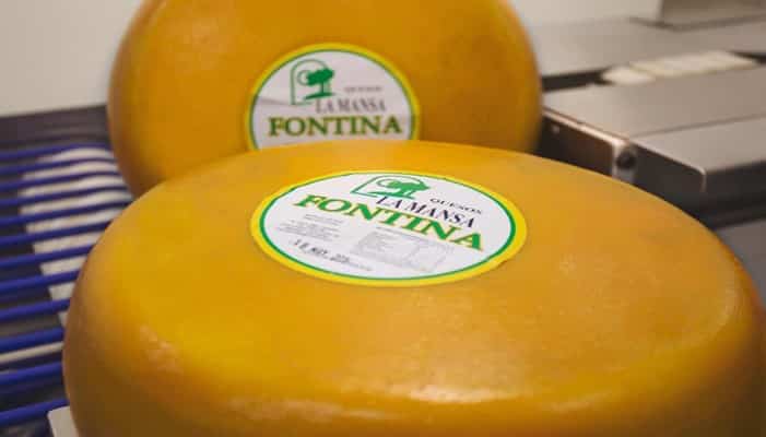Sustitutos del queso Fontina