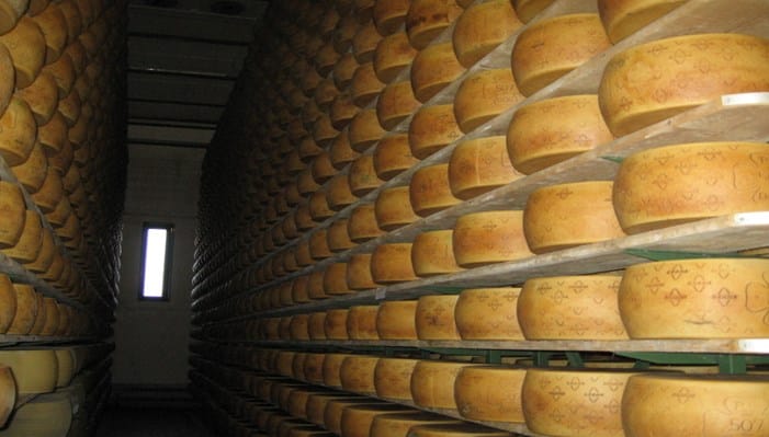 Elaboración y producción del queso Grana Padano