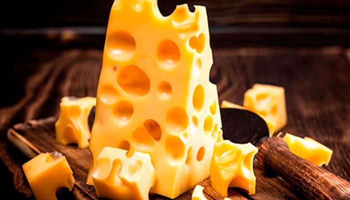 Elaboración del queso Maasdam