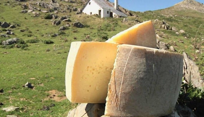 Valor nutricional del queso del Roncal